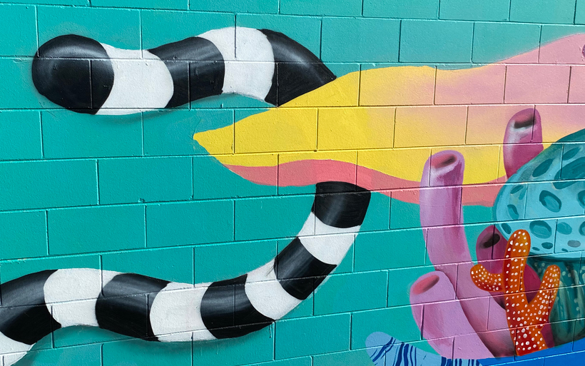 coral snake mural
