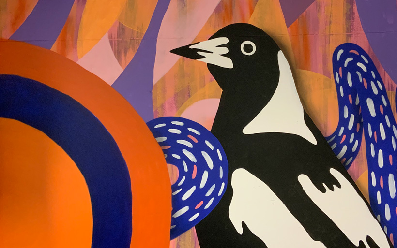 magpie Sydney mural office